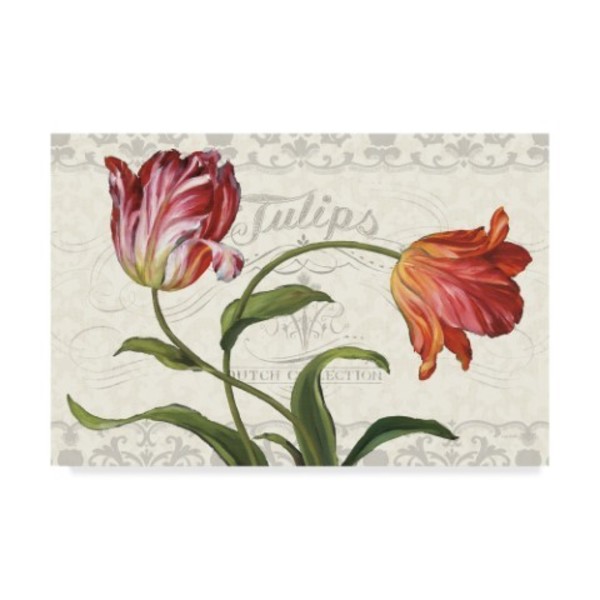 Trademark Fine Art Lisa Audit 'Tulipa Botanica I Cream' Canvas Art, 12x19 WAP04979-C1219GG